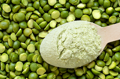 Choosing the Perfect Protein Powder: A Comprehensive Guide